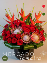 Rosas y Proteas: Pasión Exótica