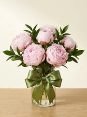 5 Peonías rosa Sarah Bernhardt