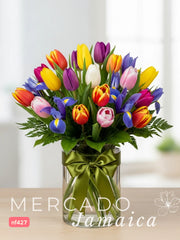 Dutch Garden Tulips