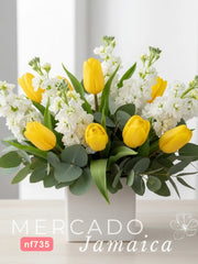 Tulipanes El Sol de la Mañana