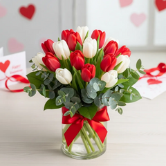 Encanto en Febero 20 Tulipanes